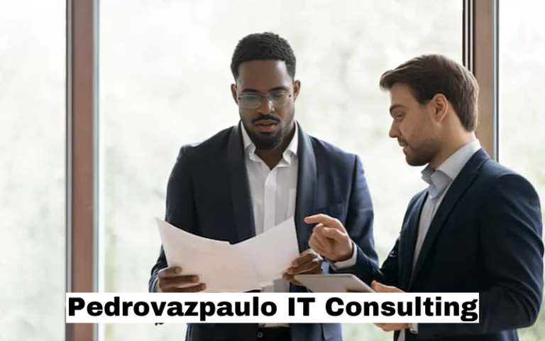 Pedrovazpaulo IT Consulting