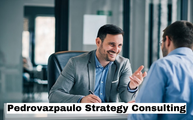 Pedrovazpaulo Strategy Consulting